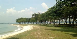 Changi beach. We took a stroll here after we got back from the island.
