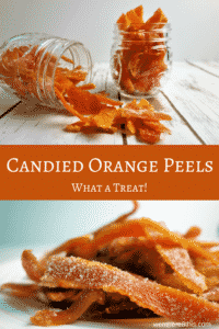 Learn how to make these awesome Candied Orange Peels for a delicious sweet treat!