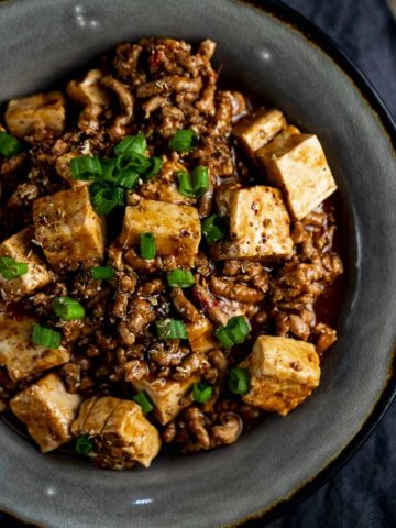 bowl of tofu and ground pork in a brown sauce