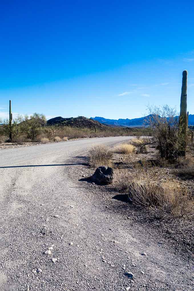 the road in organ pipe national monument