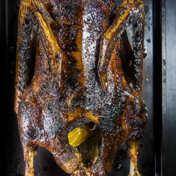 roasted goose stuffed with oranges