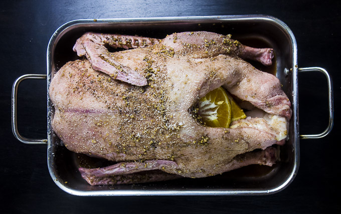 goose rubbed with seasoning for roasted goose recipe