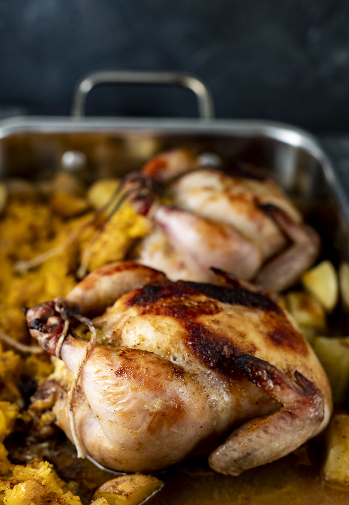 2 cornish game hens with stuffing in a baking dish