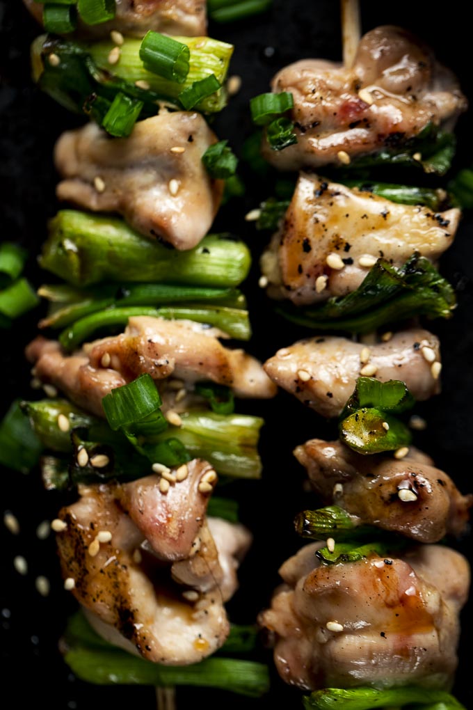 skewer of chicken and green onions with sauce and sesame seeds