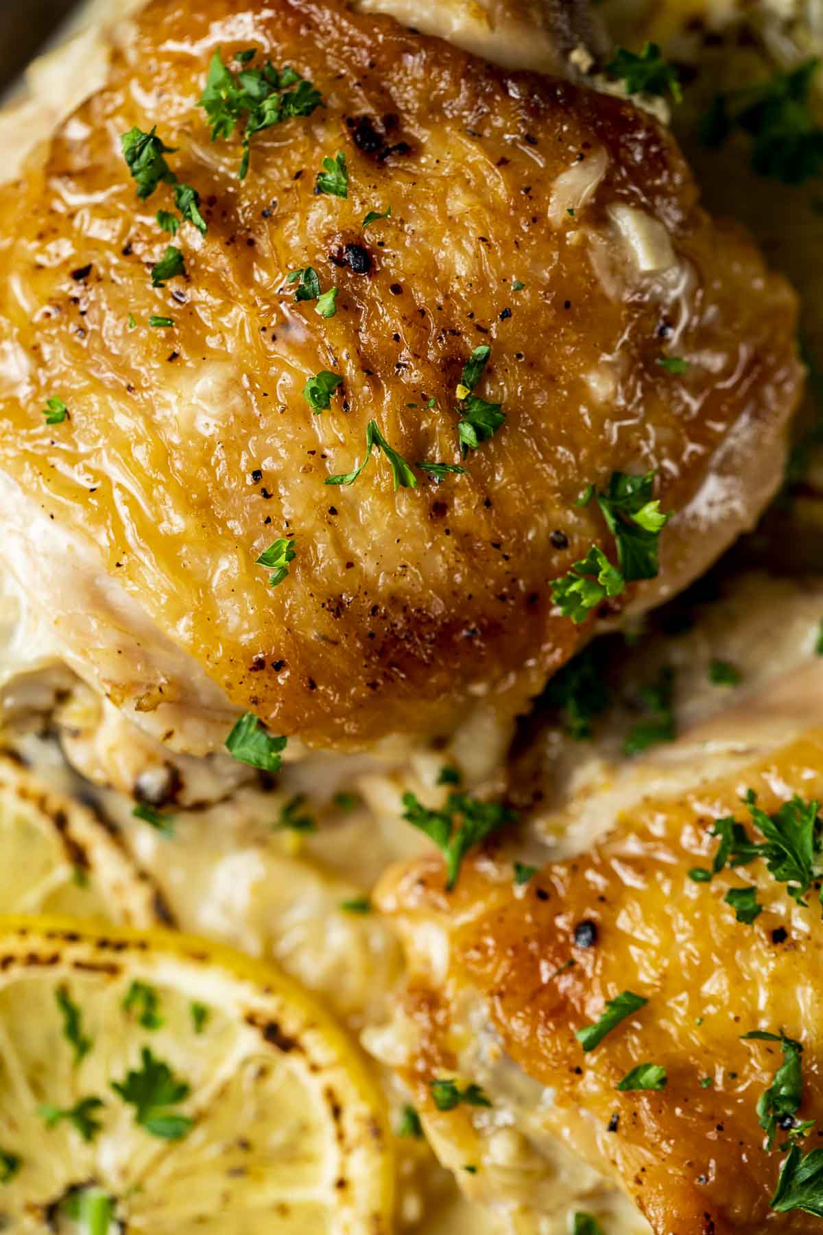 chicken thigh over a creamy white sauce garnished with lemon slices