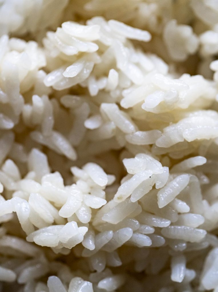 white short grained cooked rice