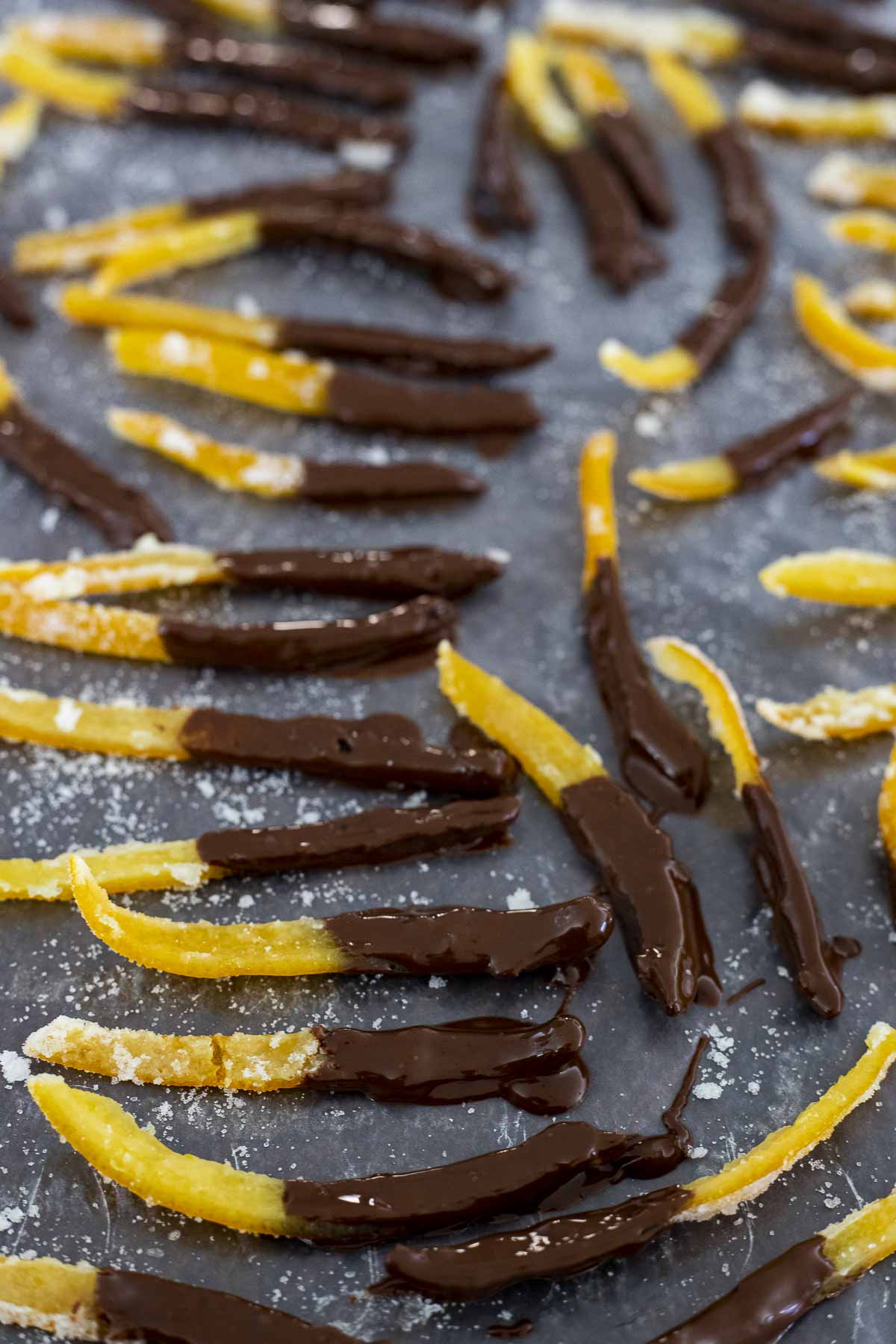 sliced orange peels dipped in chocolate