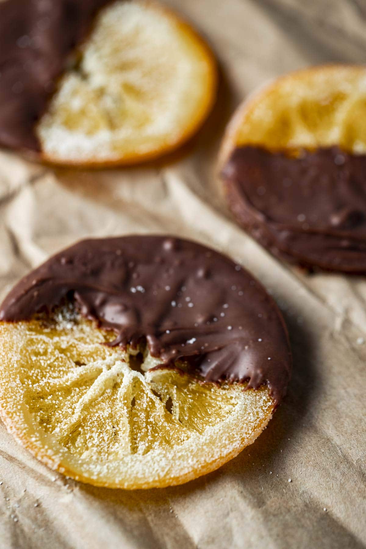 Side view of a candied orange slice half coated in chocolate.