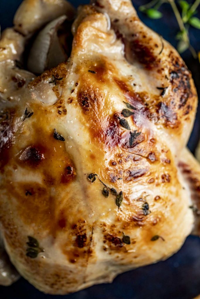 Close up photo of a sous vide whole chicken.