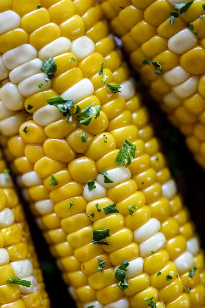 Close up of sous vide corn on the cob.
