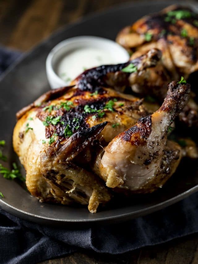 INSTANT POT CORNISH HENS STORY