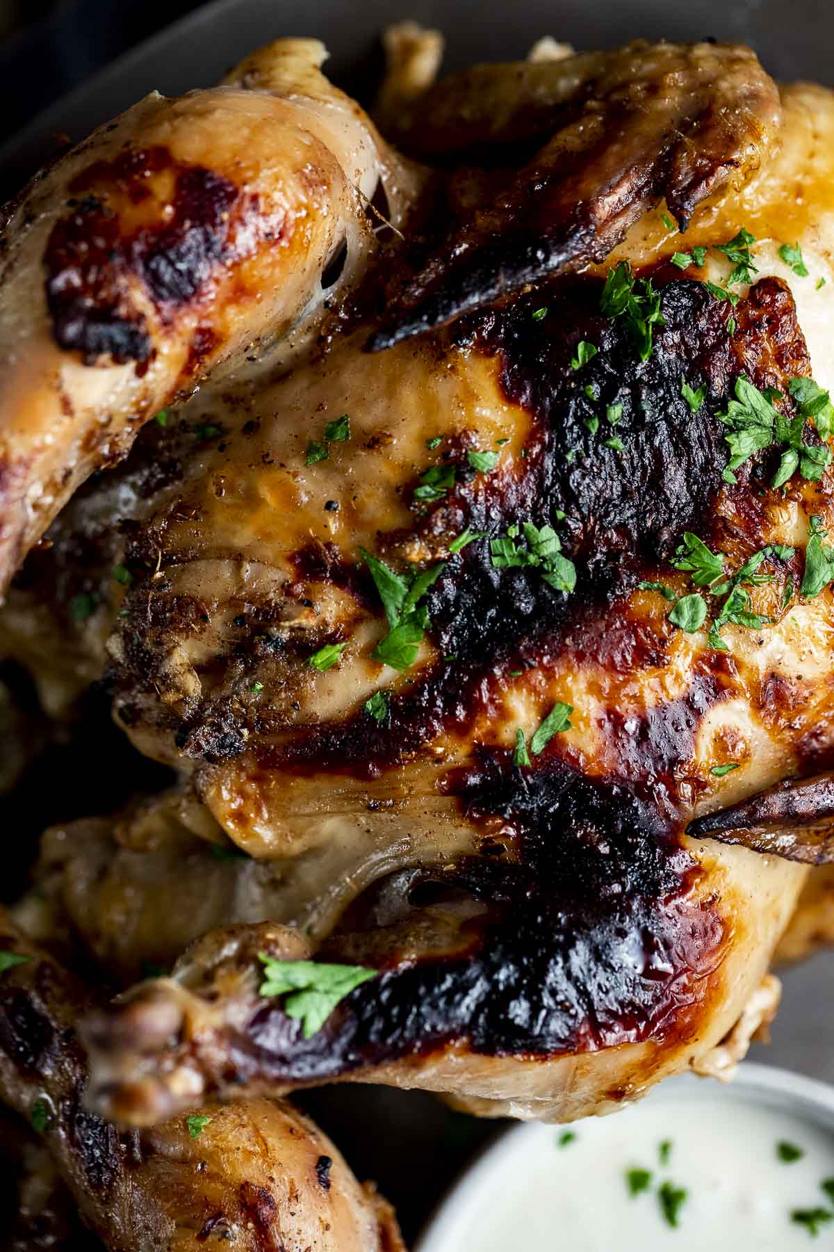 Close up overhead view of a Cornish game hen with browned skin and chopped herbs on top.