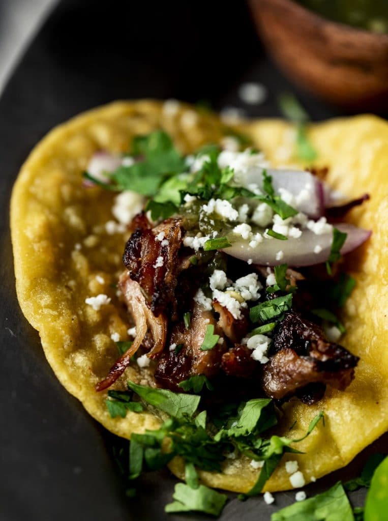 Close up of pork carnitas in a corn tortilla.