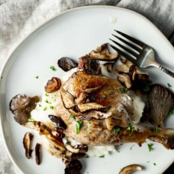 Duck confit served over mashed potatoes on a white plate.