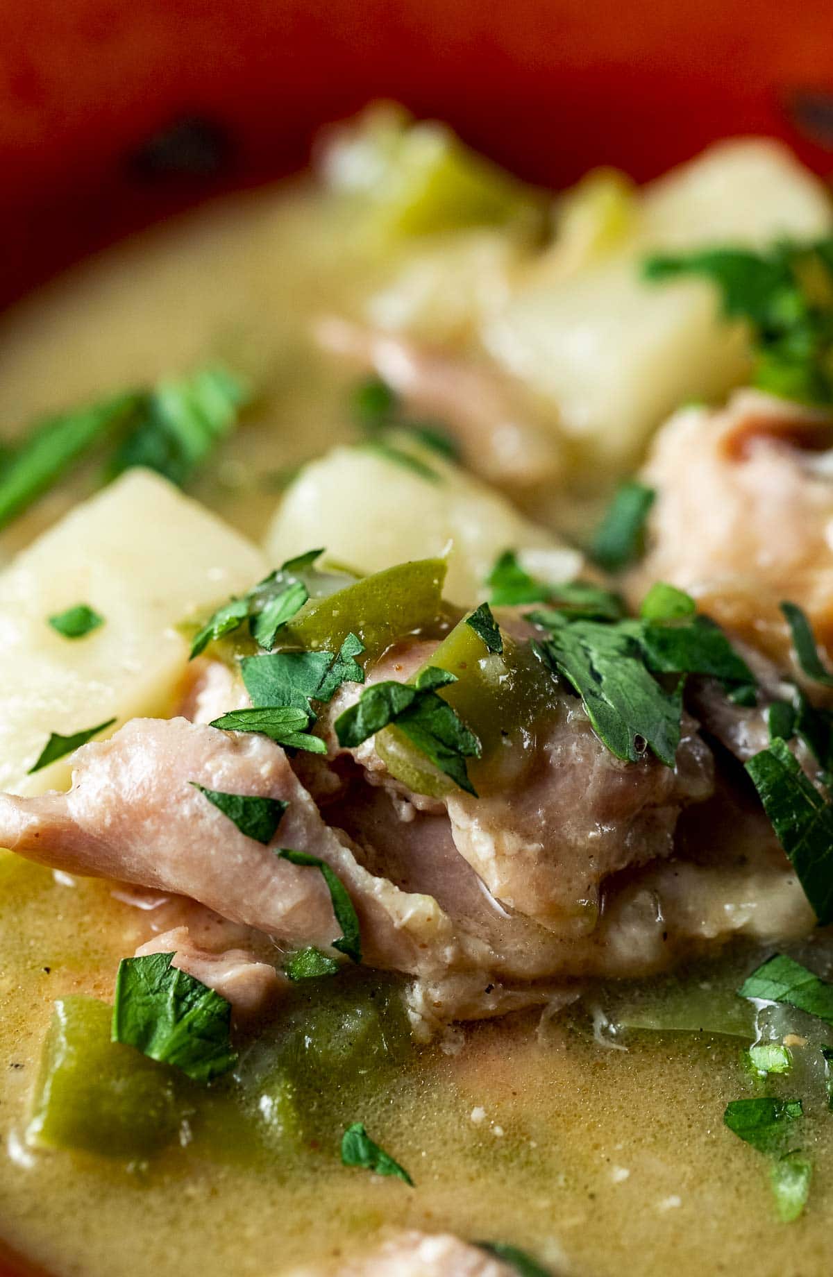 Up close of southern stewed chicken with potatoes.