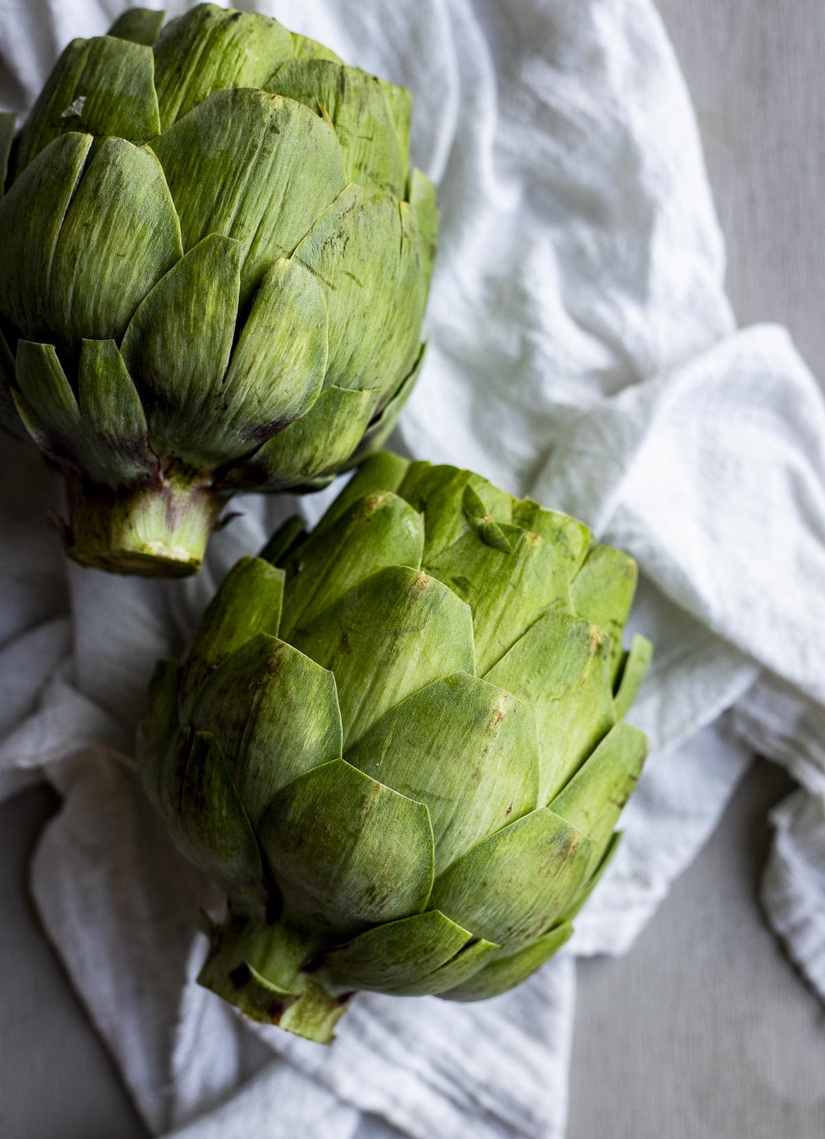 Up close view of two fresh artichokes with the outer leaves trimmed.