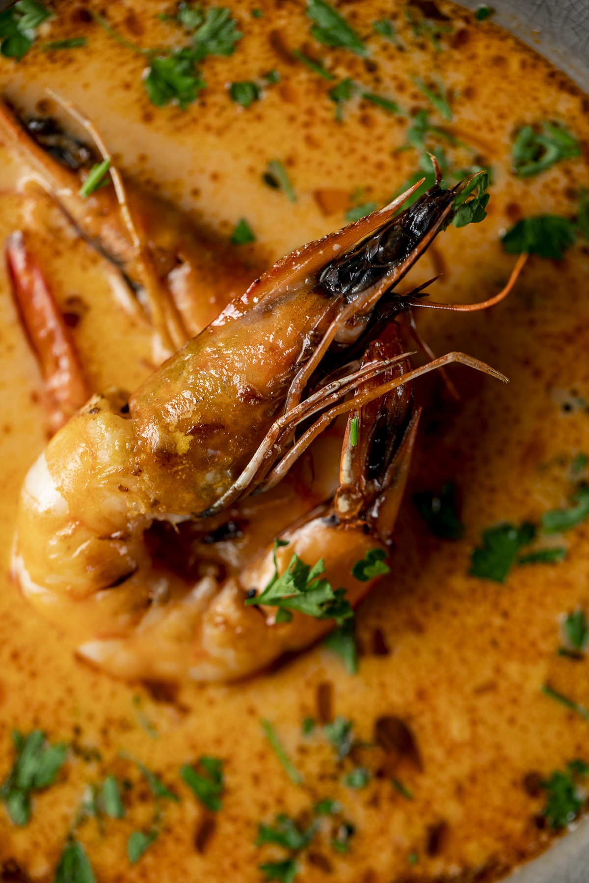 Close up view of a prawn on top of a bowl of bisque.