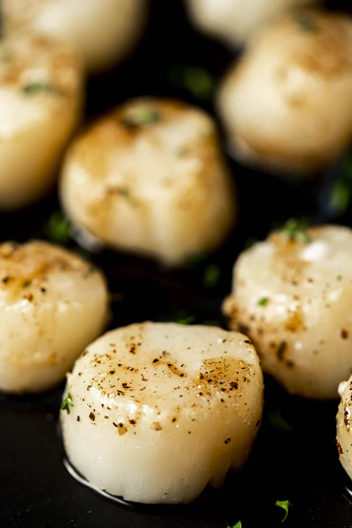Close up side view of broiled scallops.