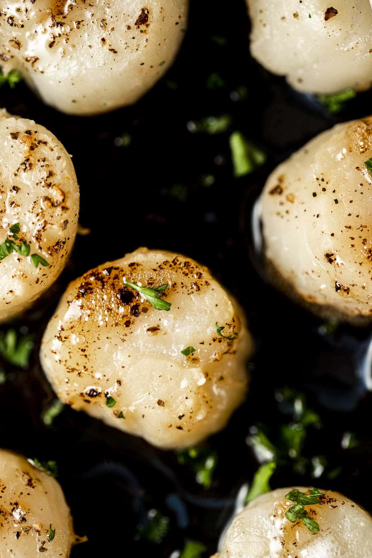 Close up view of broiled scallops.