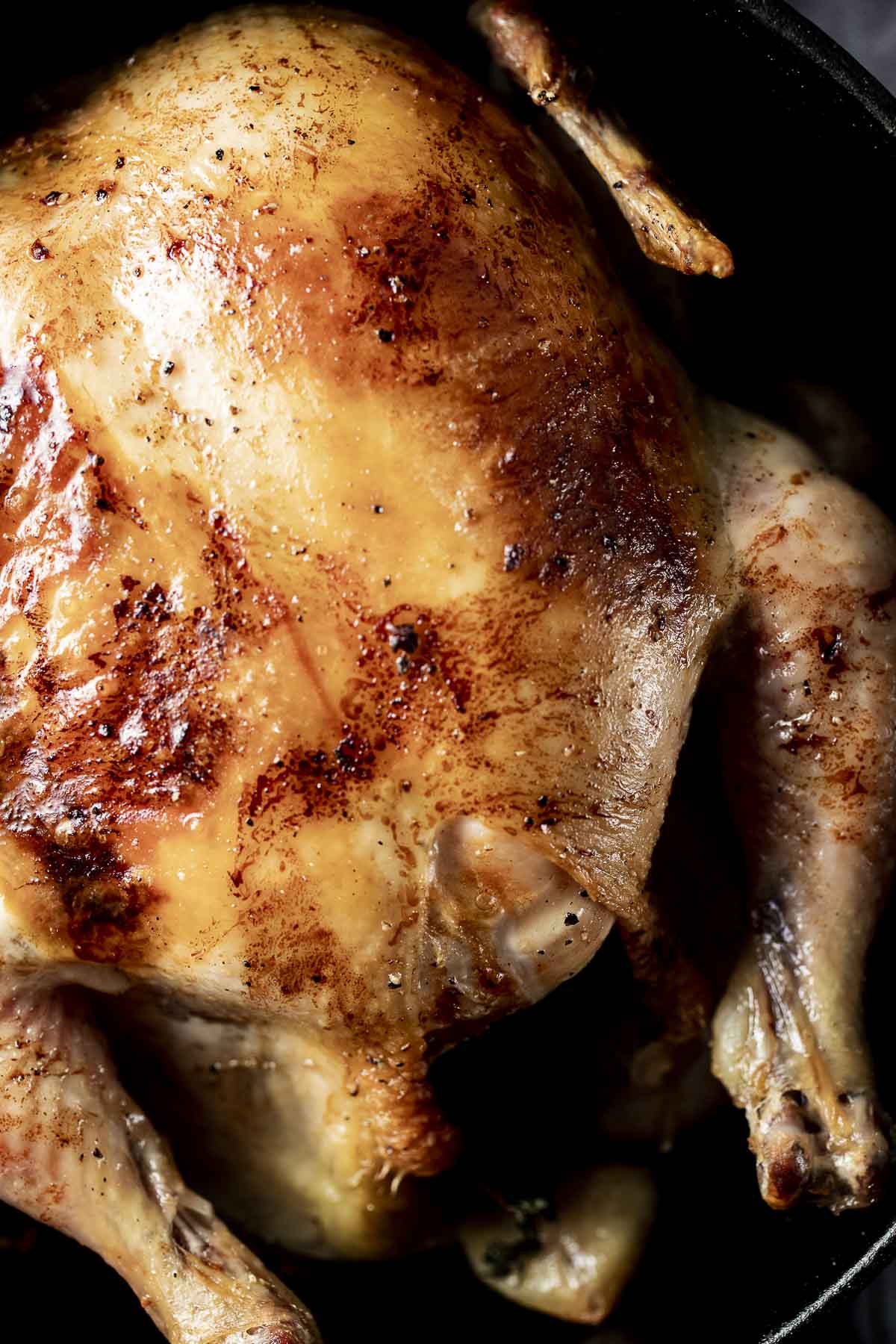 Close up view of a Dutch oven chicken with golden brown and crispy skin.