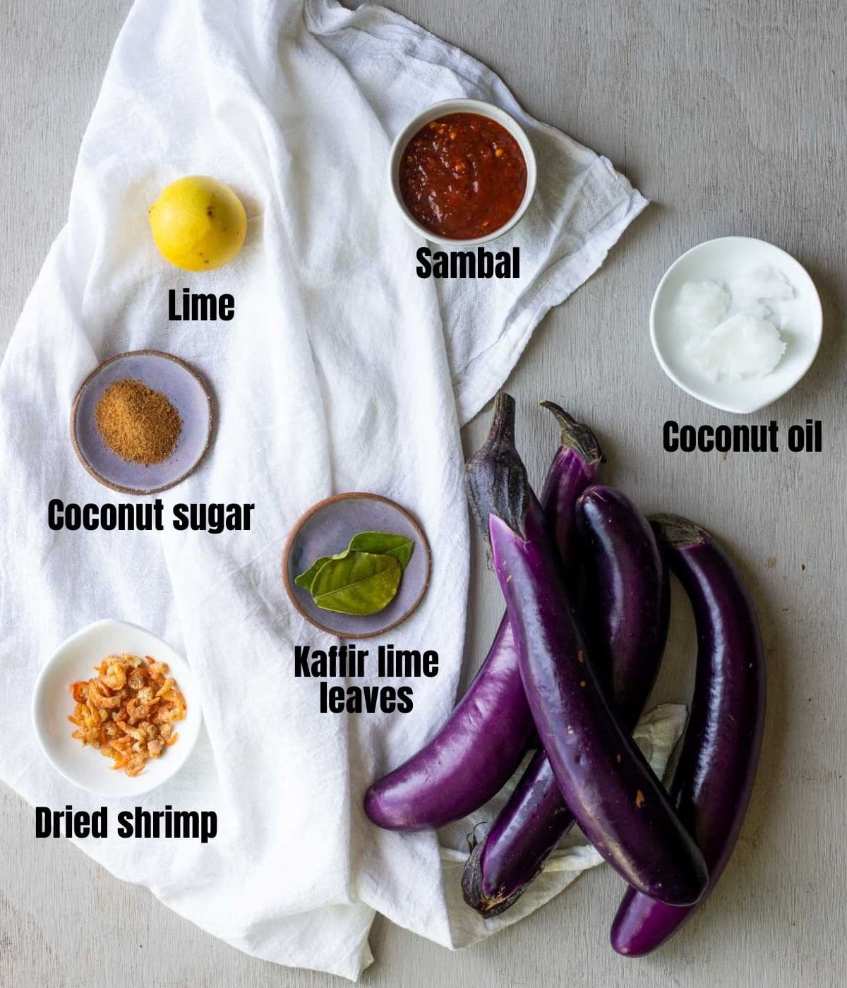 Ingredients to make sambal eggplant arranged individually and labelled.