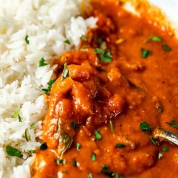 Close up view of curry tomatoes and rice.