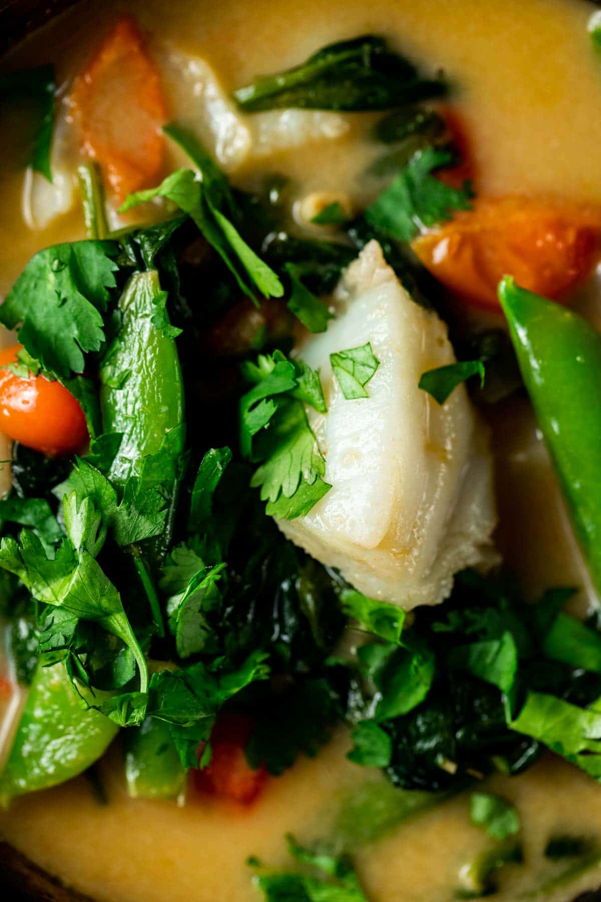 Close up view of Thai green fish curry.