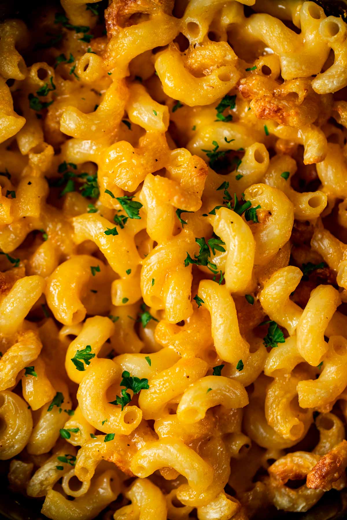 Close up view of air fryer mac and cheese with chopped herbs on top.