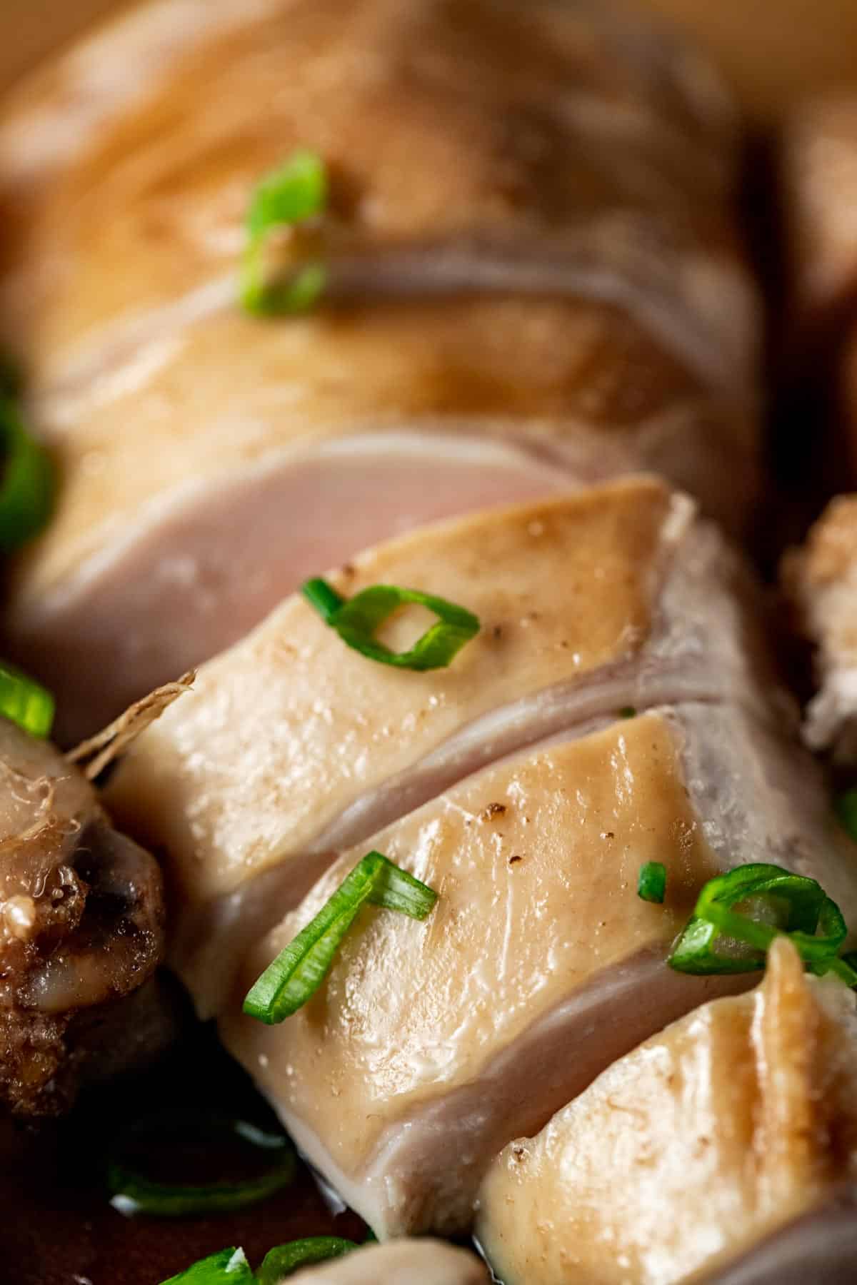 Close up view of chicken slices with green onions on top.