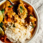 Overhead view of a bowl of duck curry with rice.