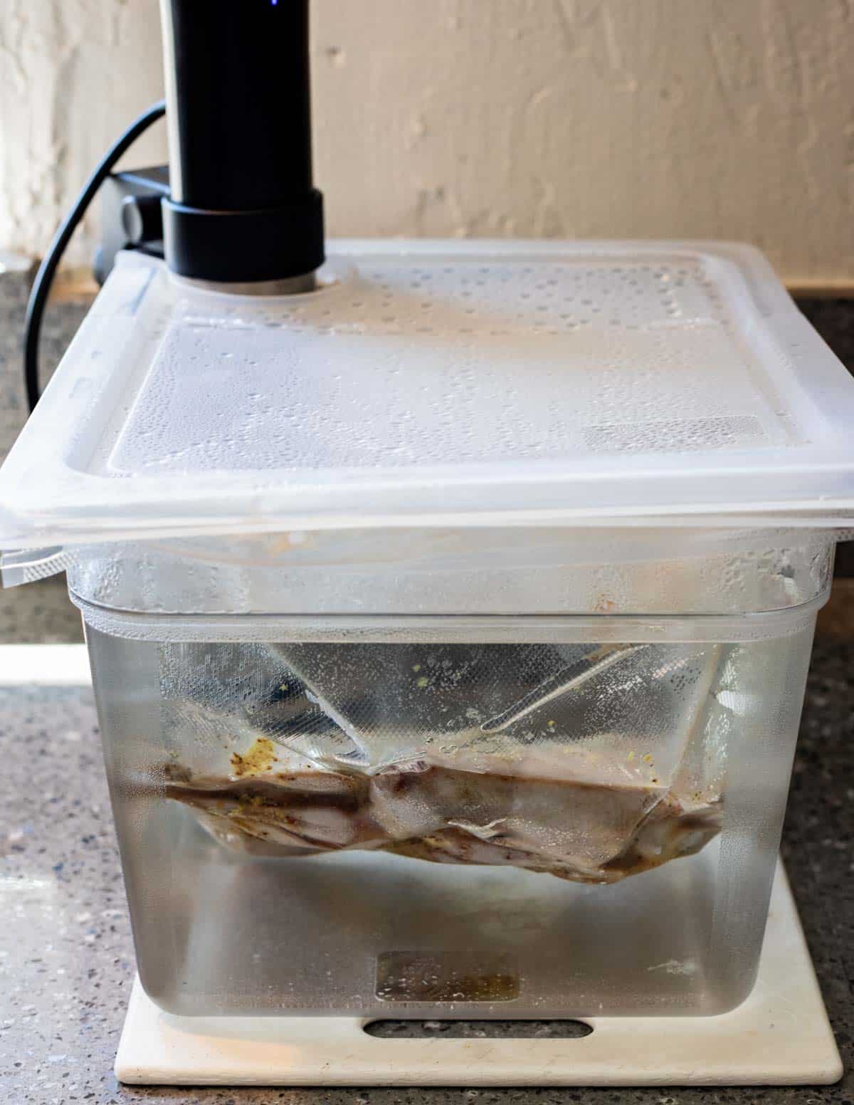 Vacuum sealed quail in a sous vide water bath.