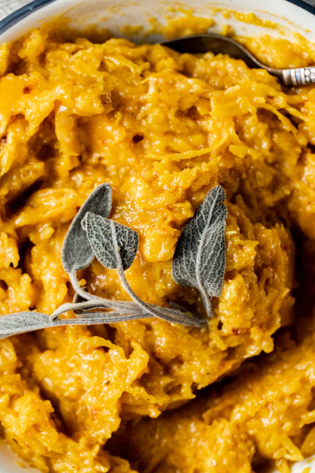 Close up view of mashed pumpkin with sage leaves on top.