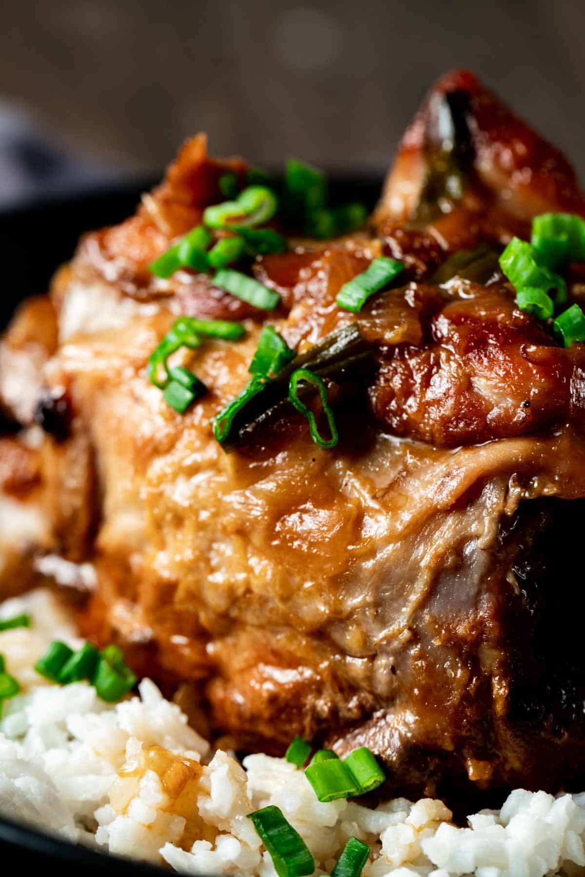 view of pork on a bed of rice ready to eat