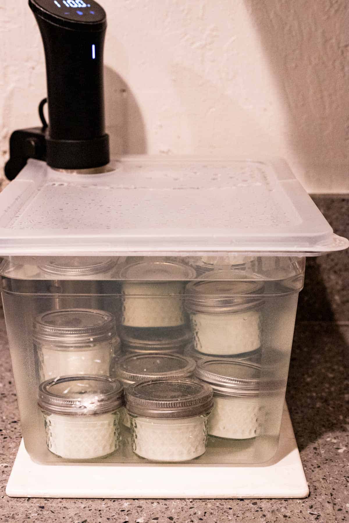 small ball jars in a sous vide container filled with yogurt