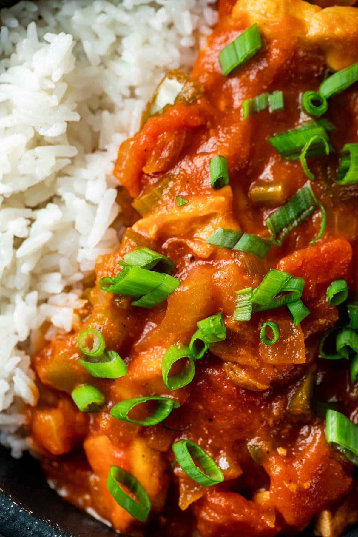 chicken in a red sauce served with green onions and rice on the side