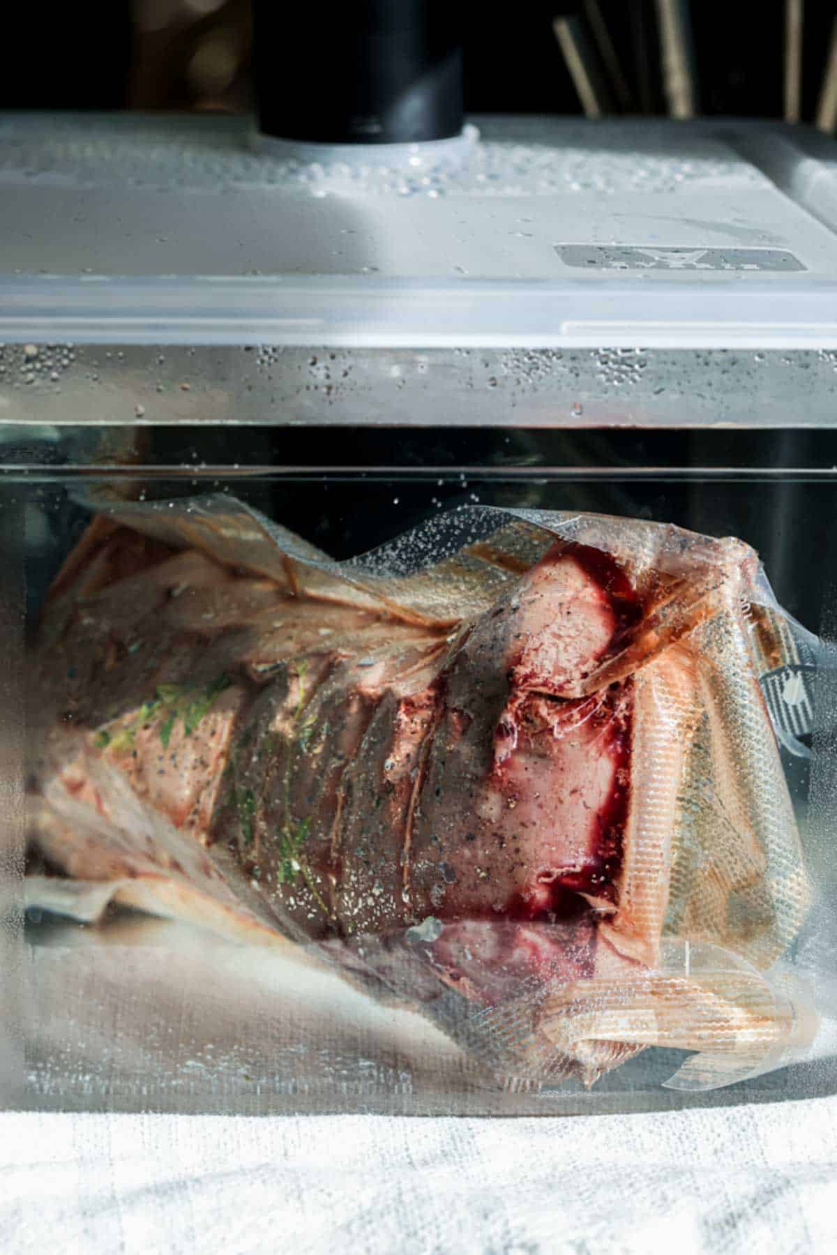 beef tenderloin in a bag cooking in a sous vide water bath