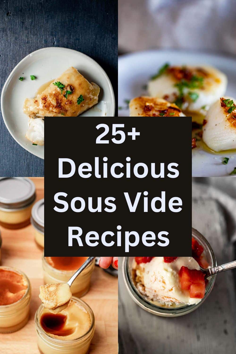35+ Best Sous Vide Recipes