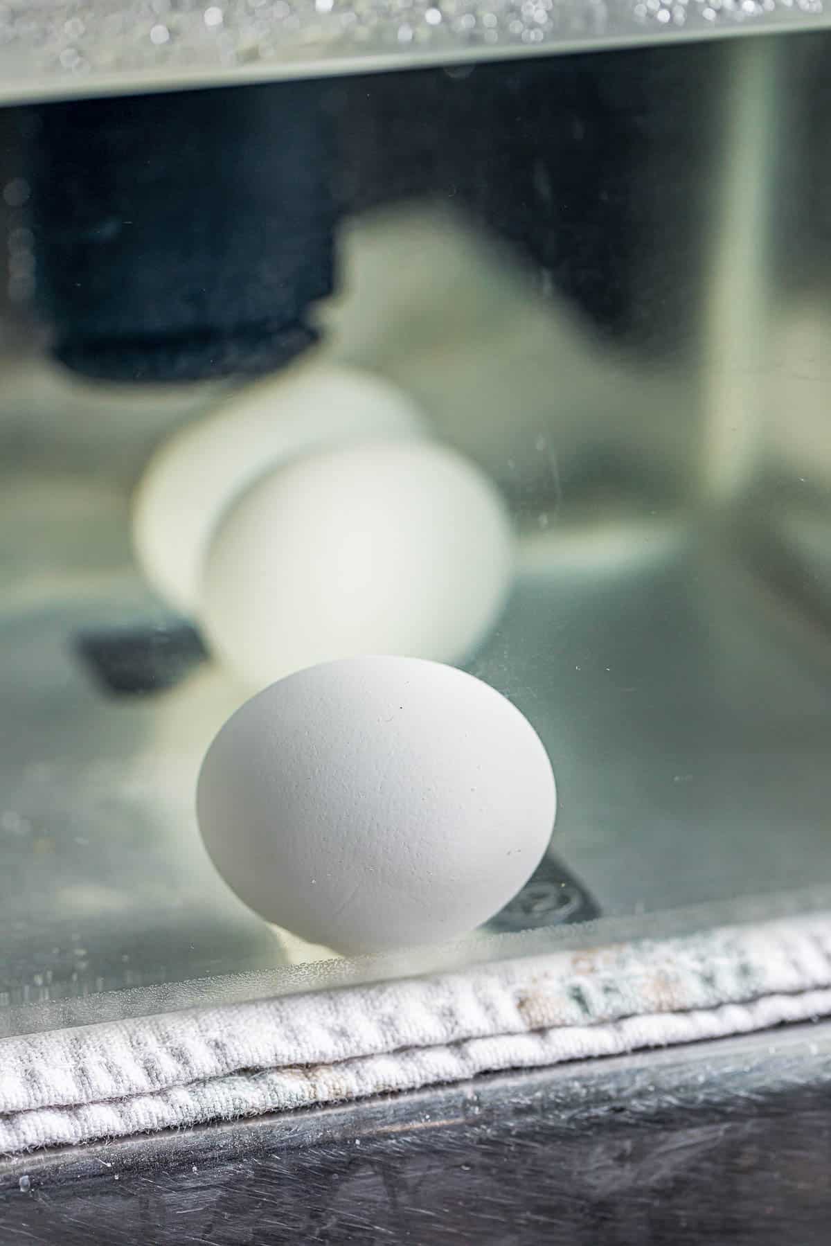 eggs floating in a container of water