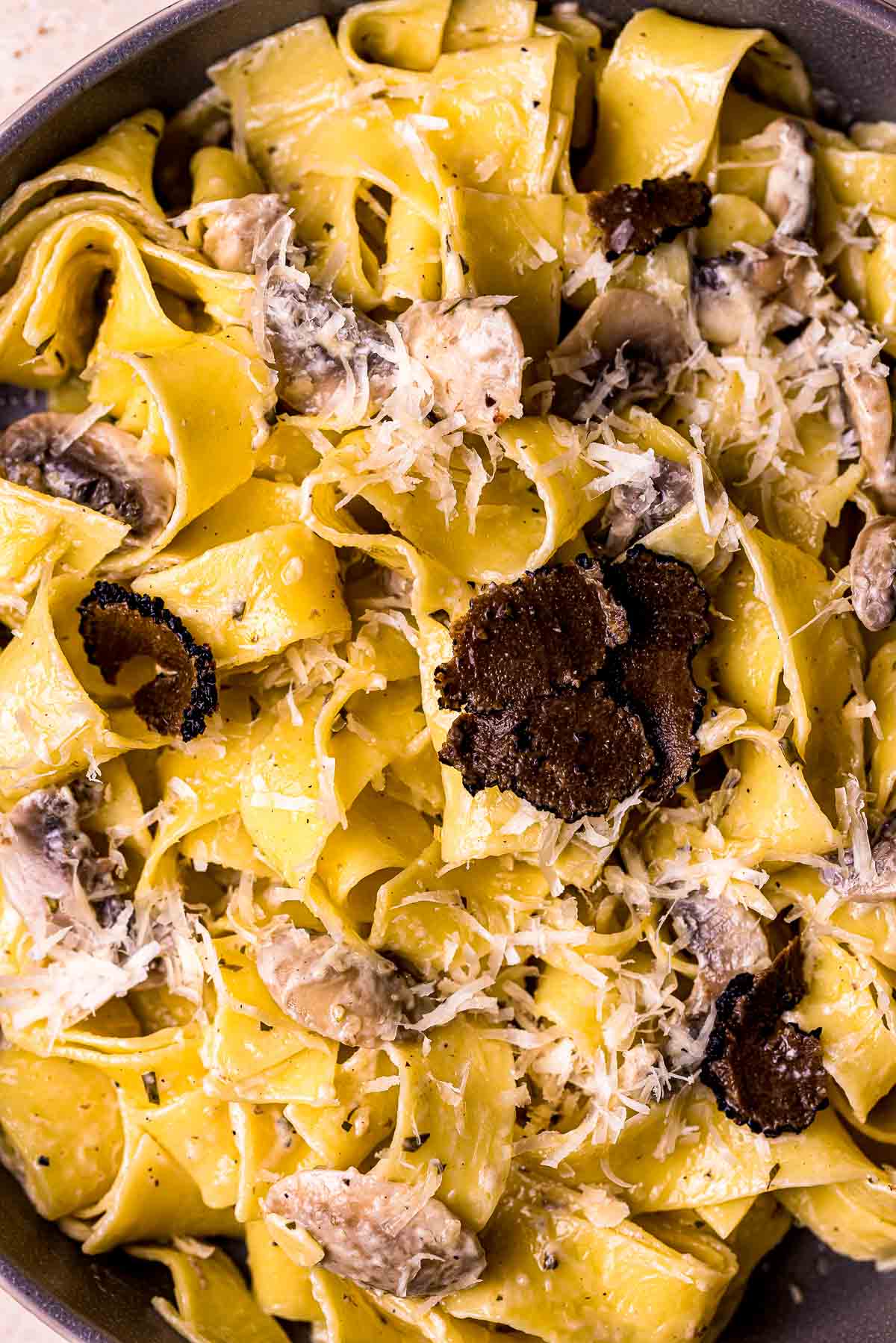 black truffle slices on creamy pasta with grated cheese