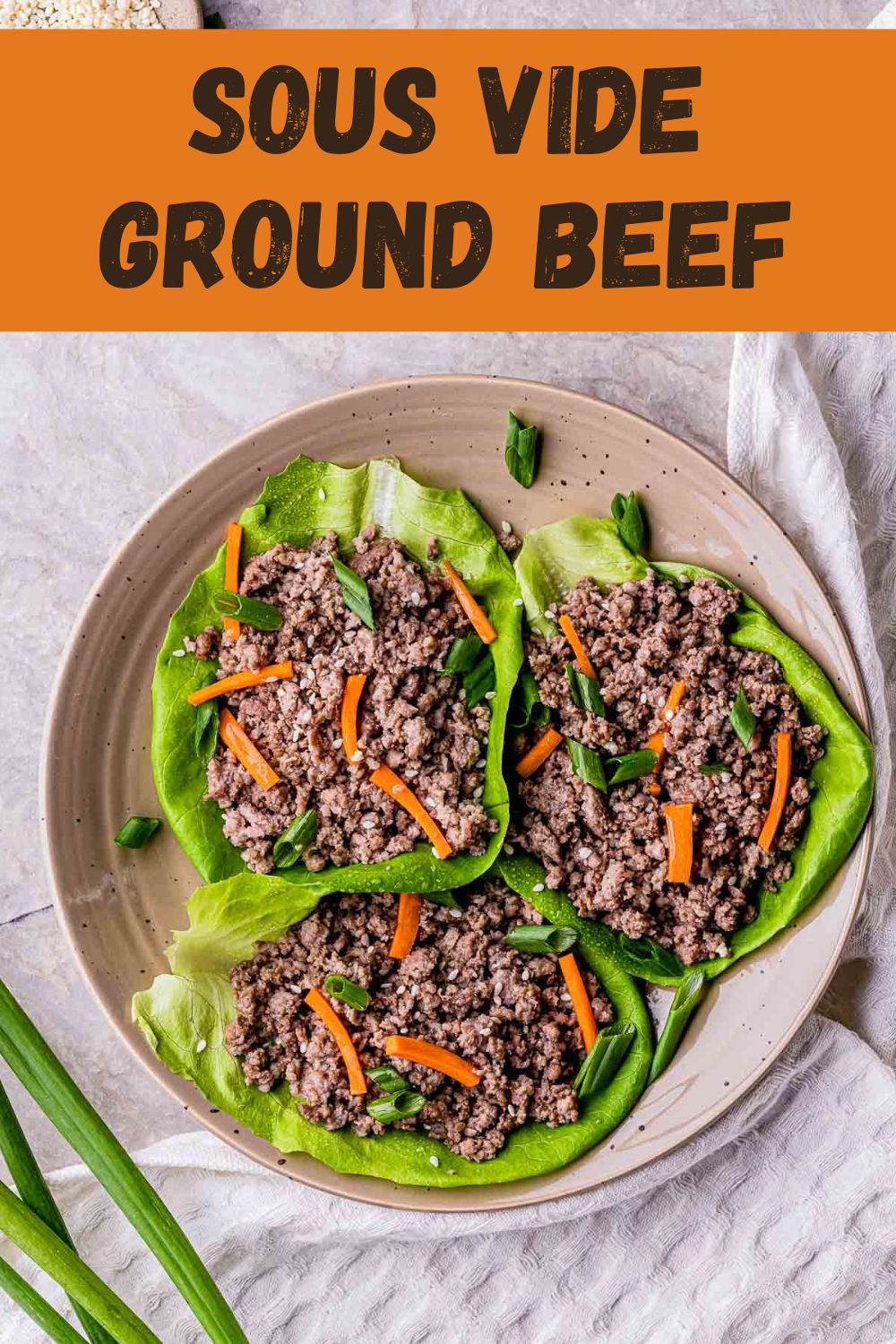 Sous Vide Ground Beef