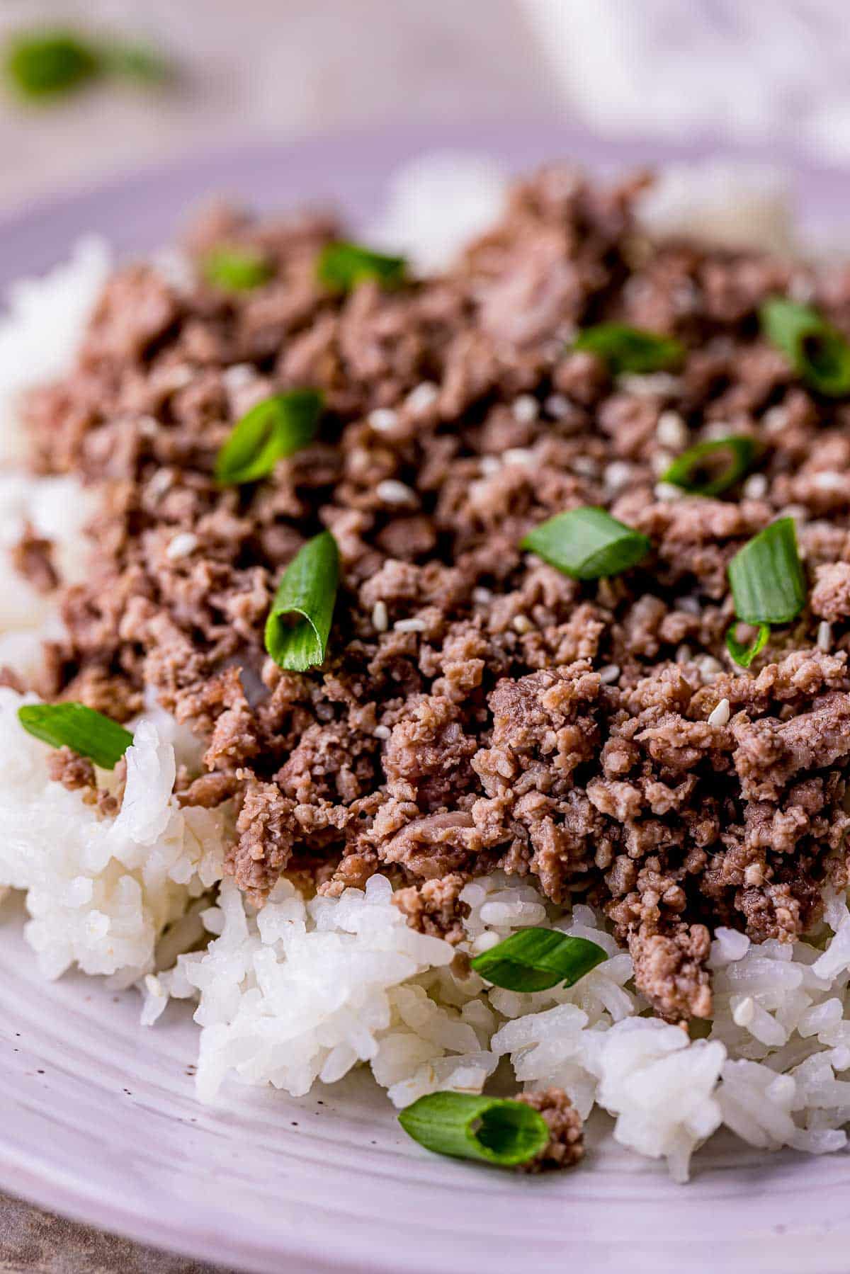 ground beef on rice with green onions