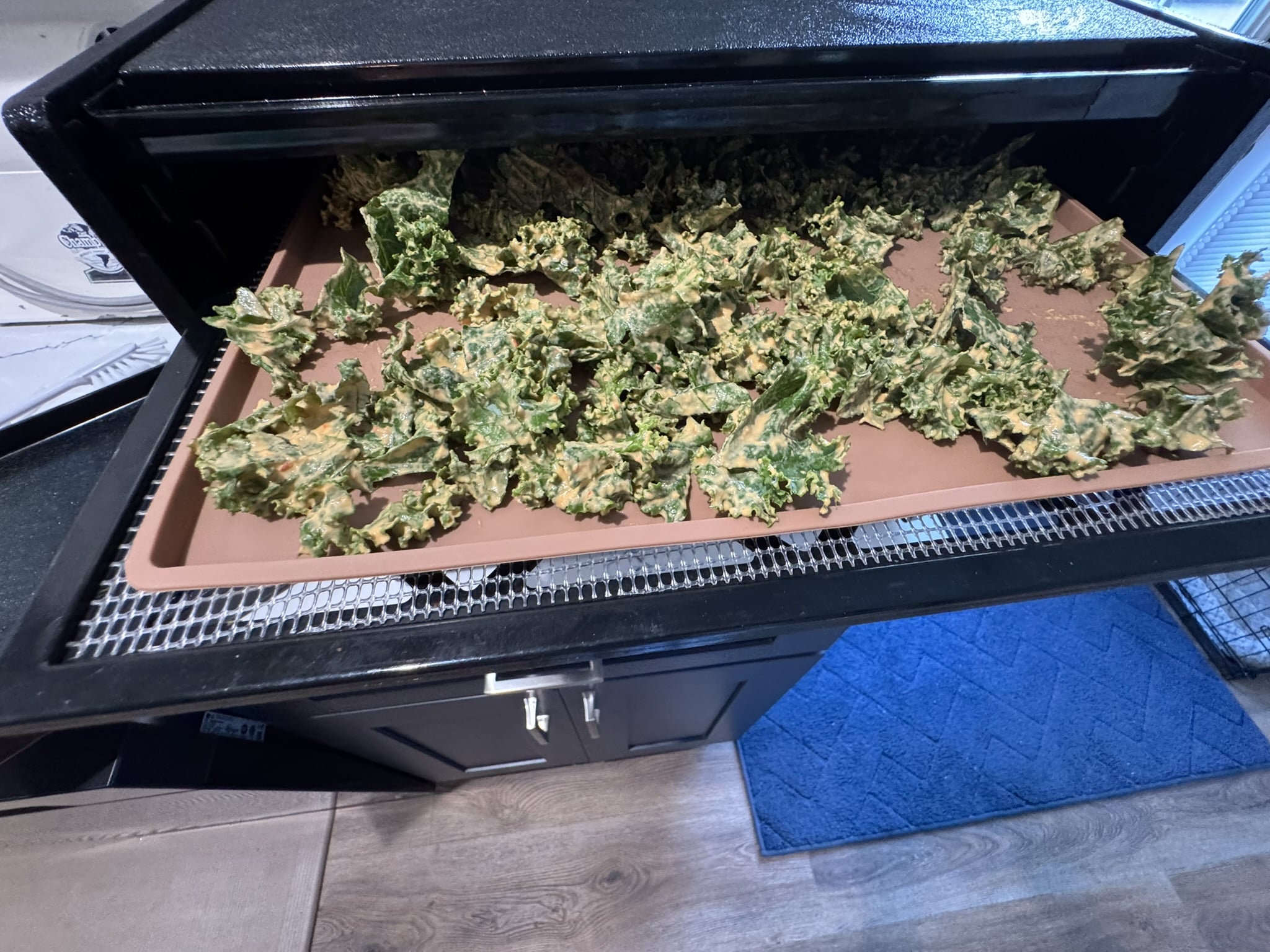 step6 Homemade Cheesy Kale Chips