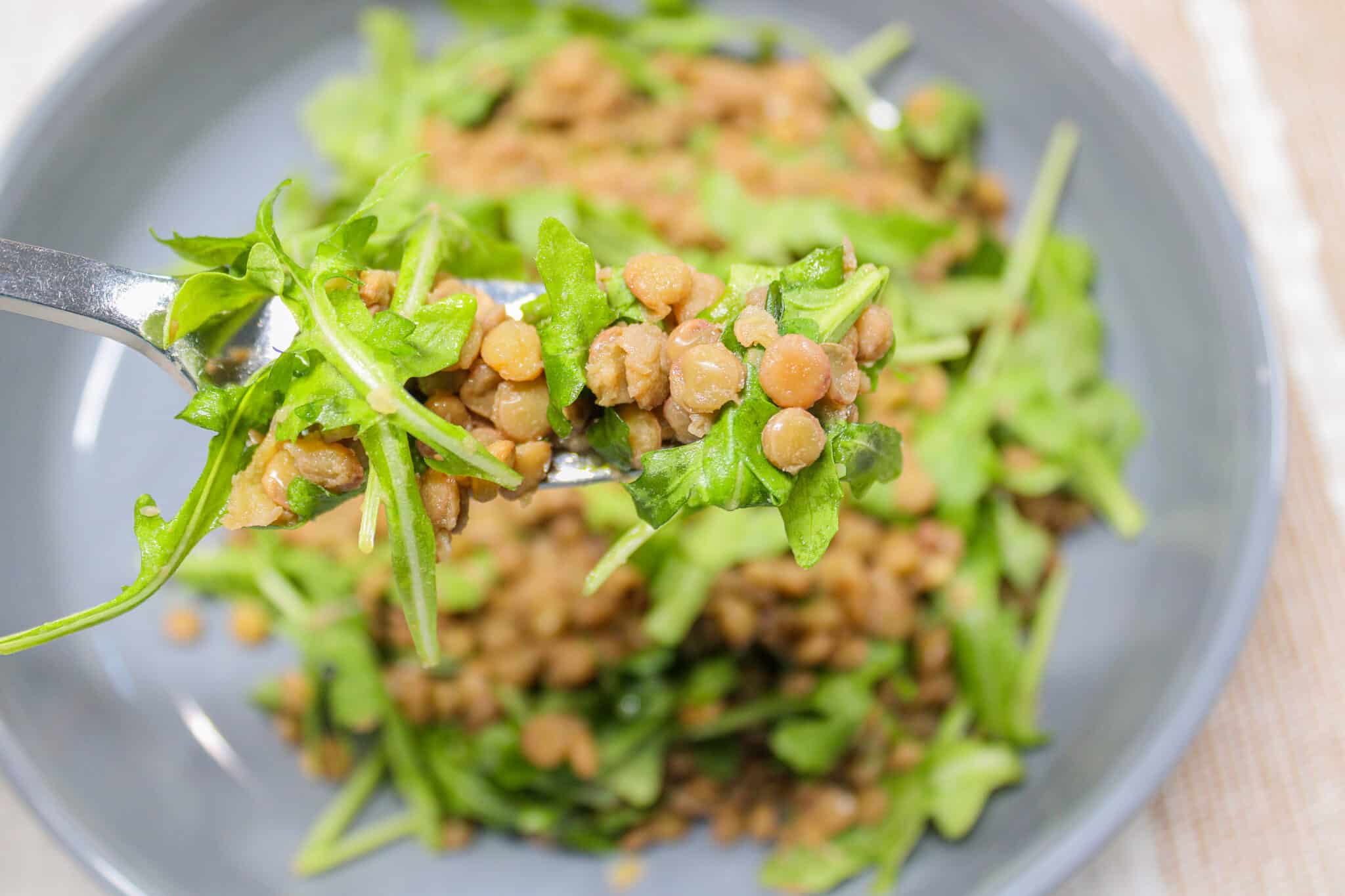 Lentil and Arugula Salad 2