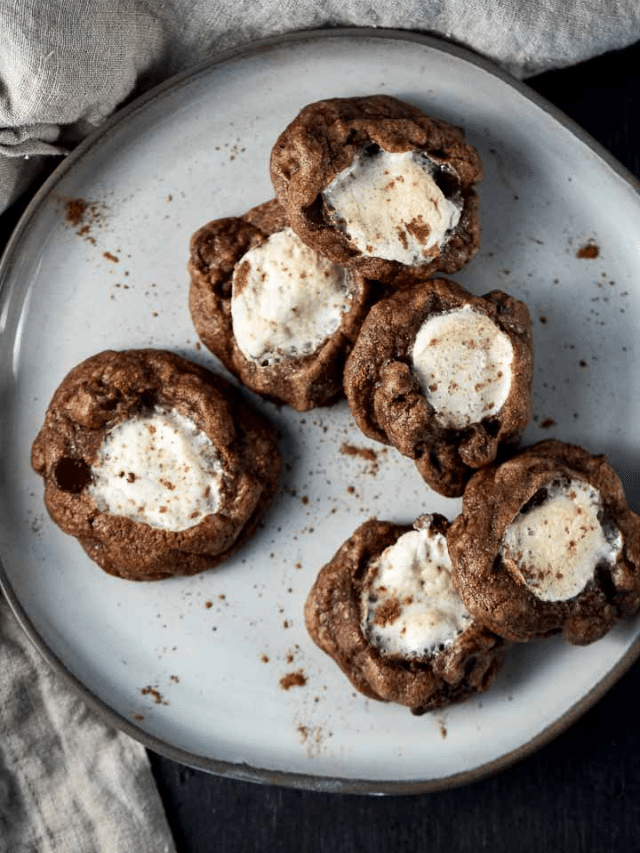 A plate of Hot Chocolate Cookies.