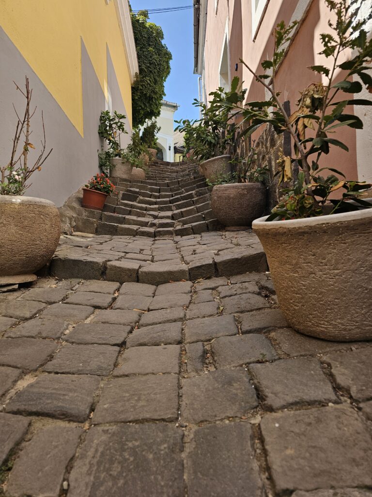 Popular Alleyway in Szentendre