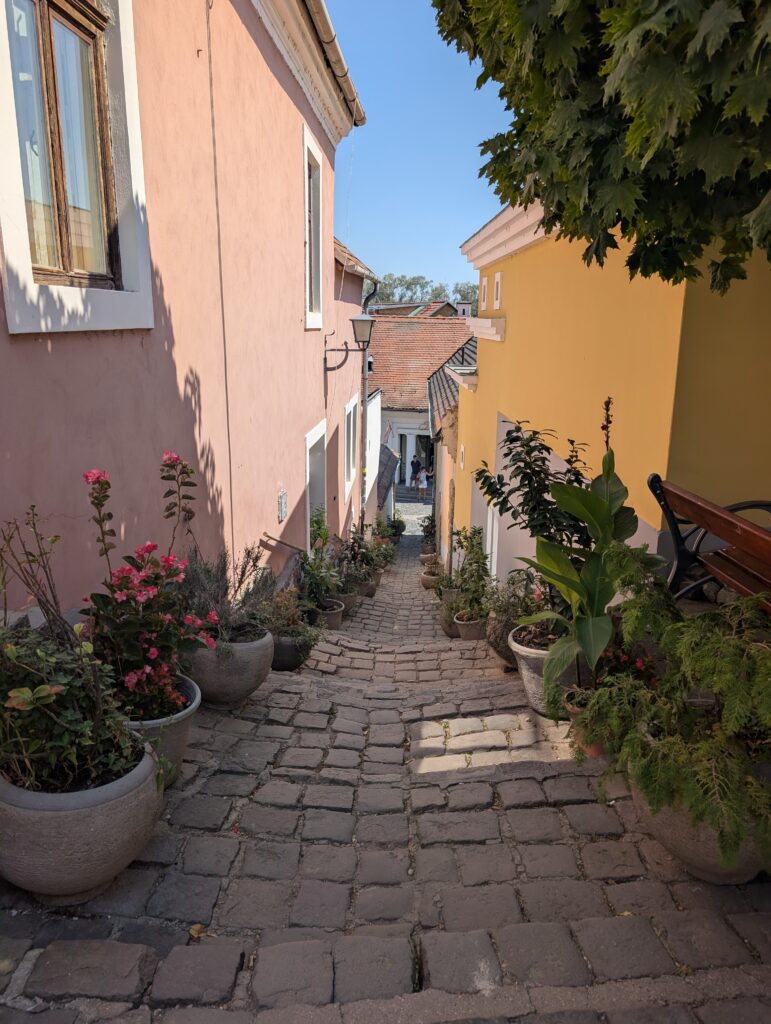 narrow cobblestone alleyway is located in Szentendre