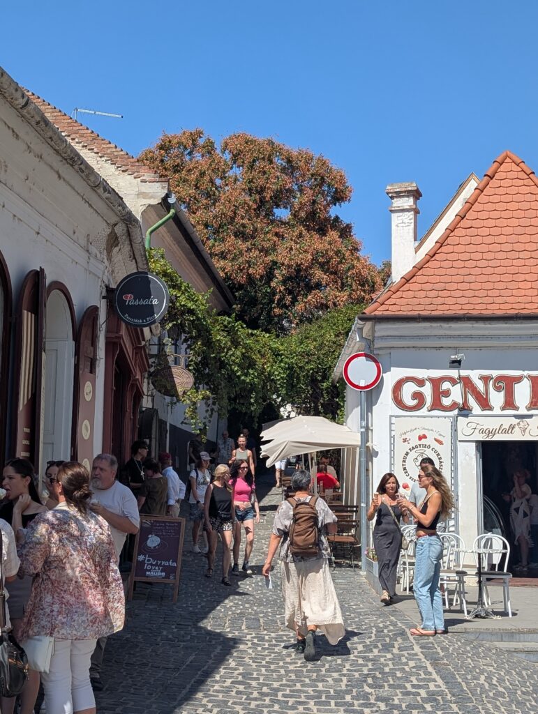 Sunny cobblestone street in the historic Szentendre